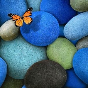 Meet your Posher, S. lynn